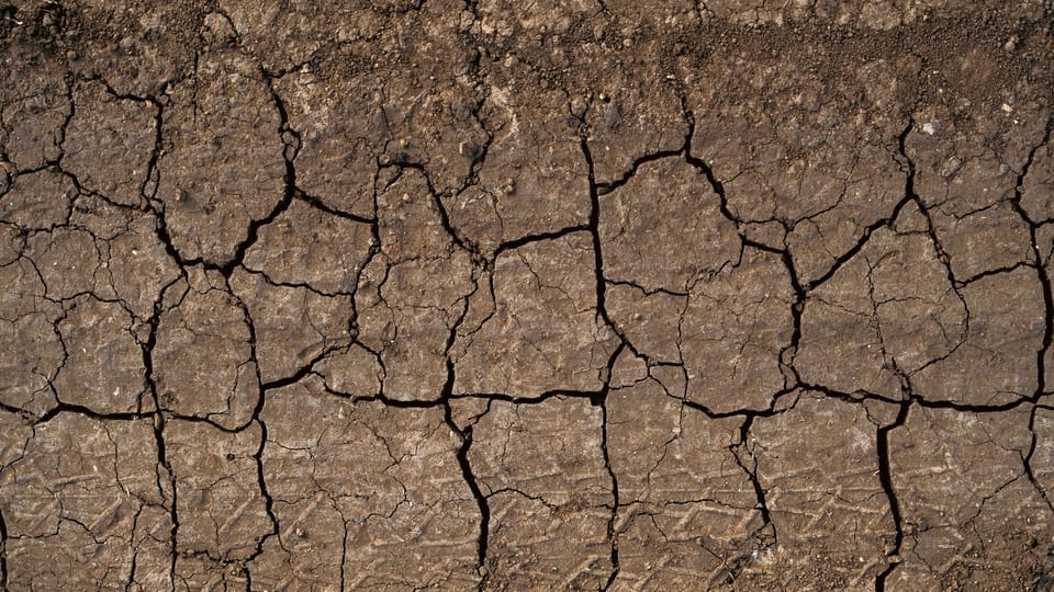 Unfiltered: CCTF Members Respond to Drought Conditions