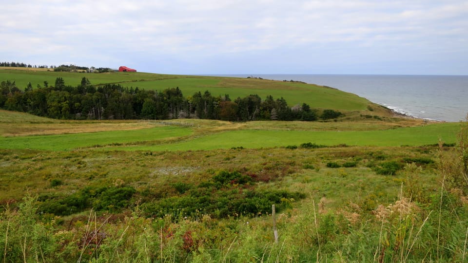 West Mabou: Here We Go Again!
